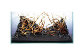 Ada 布蘭奇木 Branch Wood
